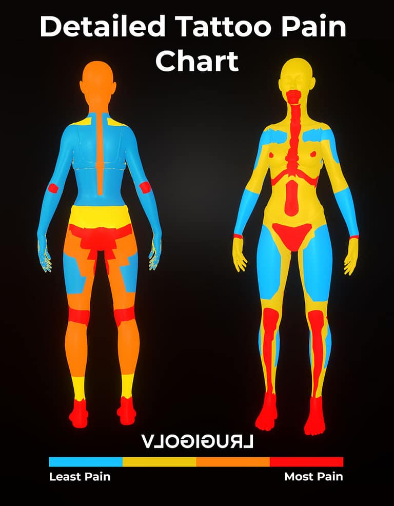 Detailed Tattoo Pain Chart for Men and Women Tattoo Pain Guide VlogiGurl